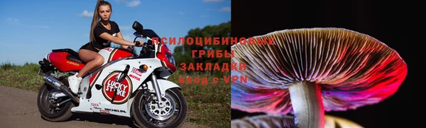 тгк Белоозёрский