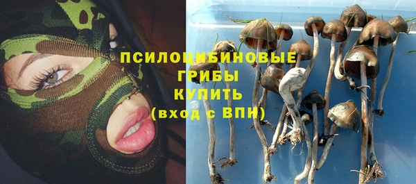 не бодяженный Белокуриха